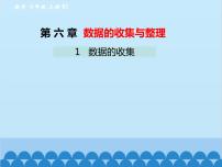 北师大版七年级上册6.1 数据的收集教课课件ppt