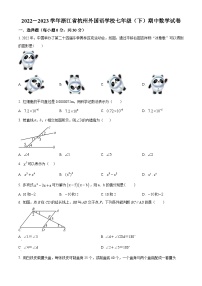 2022—2023学年浙江省杭州市西湖区杭州外国语学校七年级下学期期中数学试题