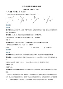 河南省漯河市2023-2024学年八年级上学期10月月考数学试题