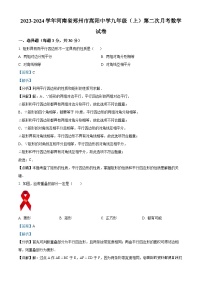 河南省郑州市登封市嵩阳中学2023-2024学年九年级上学期第二次月考数学试题