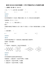 黑龙江省绥化市安达市吉星岗镇第一中学2023-2024学年七年级下学期开学考试数学试题