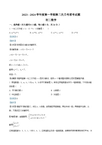 江苏省沭阳县南洋学校、实验中学2023-2024学年九年级上学期第二次月考数学试题