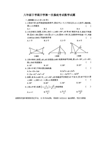 山东省德州市宁津县苗场中学2023-2024学年下学期开学考试八年级数学试题