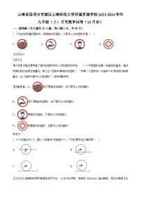 云南省昆明市官渡区官渡区云南师范大学附属官渡学校2023-2024学年九年级上学期12月月考数学试题