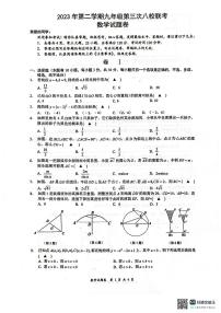 浙江省瑞安市八校2023—2024学年九年级下学期第三次联考数学试题(1)