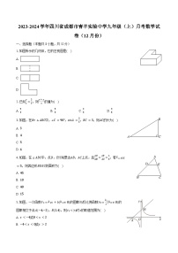 2023-2024学年四川省成都市青羊实验中学九年级（上）月考数学试卷（12月份）（含解析）