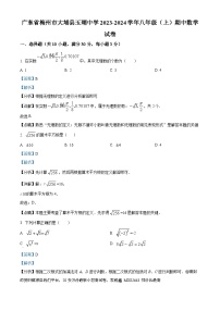 广东省梅州市大埔县玉瑚中学2023-2024学年八年级上学期期中数学试题