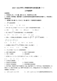 河南省洛阳市宜阳县2023-2024学年九年级上学期第一次月考数学试题