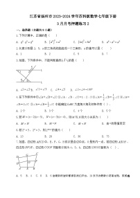 江苏省扬州市2023—2024学年苏科版数学七年级下册 3月月考押题练习2