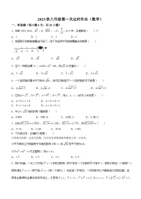 重庆市万州区万州纯阳中学校2023-2024学年八年级上学期第一次月考数学试题()