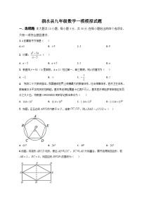 2024年山东省济宁市泗水县九年级中考数学一模模拟试题