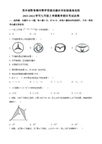 贵州省黔东南苗族侗族自治州2023-2024学年九年级上学期期末数学考试试题（原卷版+解析版）
