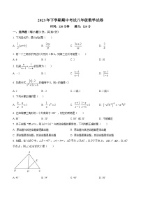 湖南省岳阳市华容县2023-2024学年八年级上学期期中数学试题（原卷版+解析版）