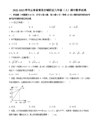 山东省青岛市城阳区2022-2023学年八年级上学期期中数学试题（原卷版+解析版）