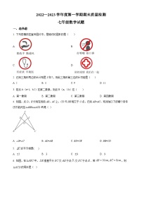 山东省威海市环翠区2022-2023学年八年级上学期数学期末考试题（原卷版+解析版）