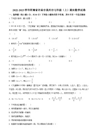 河南省许昌市禹州市2022-2023学年七年级上学期期末数学试题（原卷版+解析版）