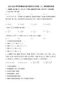 河南省许昌市禹州市2022-2023学年七年级上学期期末数学试题（原卷版+解析版）