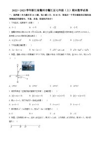 浙江省衢州市衢江区2022-2023学年七年级上学期期末数学试题（原卷版+解析版）