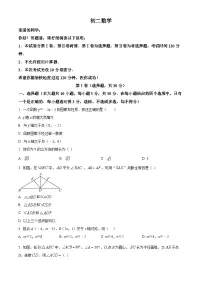 山东省威海乳山市（五四制）2023-2024学年七年级上学期期末考试数学试题（原卷版+解析版）
