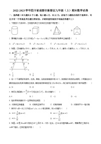 四川省成都市新都区2022-2023学年九年级上学期期末数学试题（原卷版+解析版）