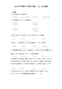 2024年中考数学一轮复习专题：二元一次方程组（含答案）