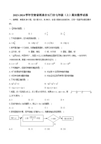 2023-2024学年甘肃省酒泉市玉门市七年级（上）期末数学试卷(含详细答案解析)