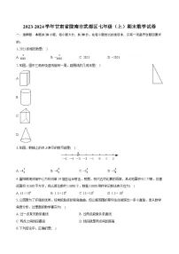2023-2024学年甘肃省陇南市武都区七年级（上）期末数学试卷(含详细答案解析)
