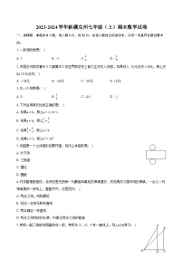 2023-2024学年新疆克州七年级（上）期末数学试卷(含详细答案解析)