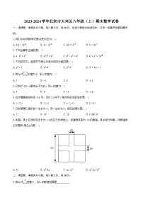 2023-2024学年北京市大兴区八年级（上）期末数学试卷(含详细答案解析)