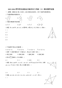 2023-2024学年河北省保定市涿州市八年级（上）期末数学试卷(含详细答案解析)