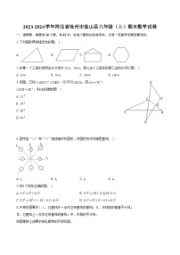 2023-2024学年河北省沧州市盐山县八年级（上）期末数学试卷(含详细答案解析)