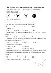 2023-2024学年河北省邯郸市武安市八年级（上）期末数学试卷(含详细答案解析)