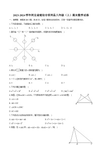 2023-2024学年河北省廊坊市香河县八年级（上）期末数学试卷(含详细答案解析)