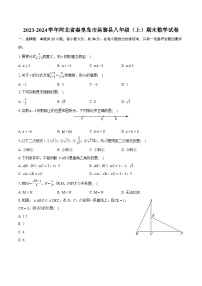 2023-2024学年河北省秦皇岛市昌黎县八年级（上）期末数学试卷(含详细答案解析)