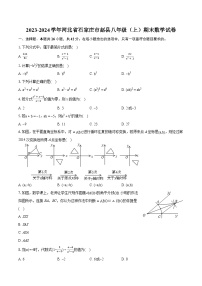 2023-2024学年河北省石家庄市赵县八年级（上）期末数学试卷(含详细答案解析)