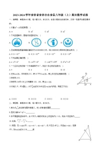 2023-2024学年吉林省吉林市永吉县八年级（上）期末数学试卷(含详细答案解析)