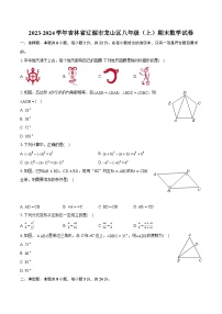 2023-2024学年吉林省辽源市龙山区八年级（上）期末数学试卷(含详细答案解析)