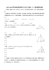 2023-2024学年吉林省松原市宁江区八年级（上）期末数学试卷(含详细答案解析)