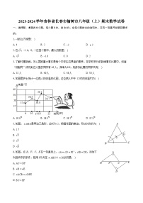 2023-2024学年吉林省长春市榆树市八年级（上）期末数学试卷(含详细答案解析)