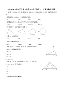 2023-2024学年辽宁省大连市中山区八年级（上）期末数学试卷(含详细答案解析)