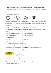 2023-2024学年辽宁省大连市庄河市八年级（上）期末数学试卷(含详细答案解析)