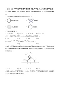 2023-2024学年辽宁省葫芦岛市绥中县八年级（上）期末数学试卷(含详细答案解析)