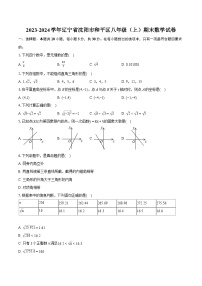 2023-2024学年辽宁省沈阳市和平区八年级（上）期末数学试卷(含详细答案解析)