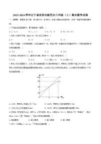 2023-2024学年辽宁省沈阳市新民市八年级（上）期末数学试卷(含详细答案解析)