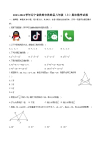 2023-2024学年辽宁省铁岭市铁岭县八年级（上）期末数学试卷(含详细答案解析)