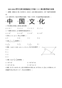 2023-2024学年天津市滨海新区八年级（上）期末数学练习试卷(含详细答案解析)