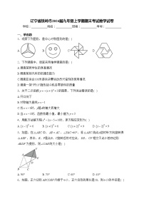 辽宁省铁岭市2024届九年级上学期期末考试数学试卷(含答案)