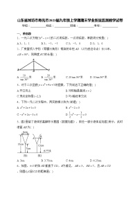 山东省潍坊市寿光市2023届九年级上学期期末学业质量监测数学试卷(含答案)