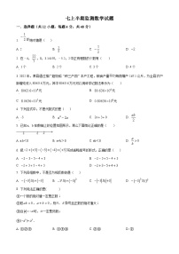 四川省眉山市东坡区东坡区多悦镇初级中学2022-2023学年七年级上学期11月期中数学试题（原卷版+解析版）