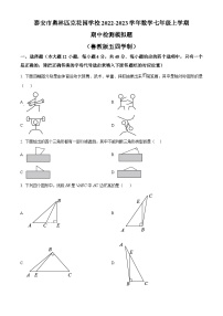 山东省泰安市泰安高新区奥林匹克花园学校2022-2023学年七年级上学期期中数学试题（原卷版+解析版）